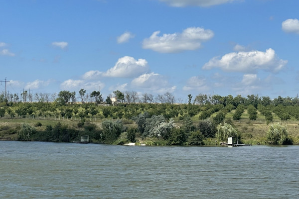 Продаж горіхового саду в Кіровоградській області